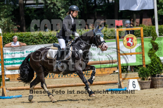 Goldene Schärpe 2021 - Ponys