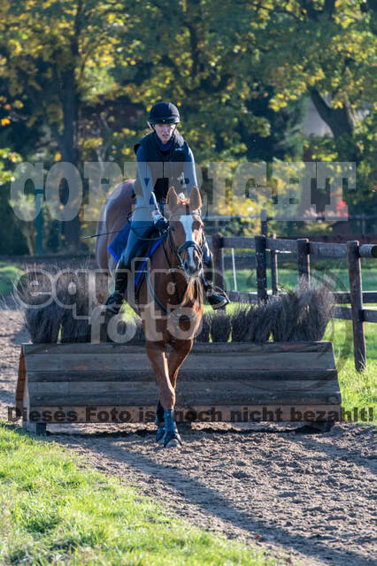 Vielseitigkeitslehrgang mit Jürg Kurbel (9.+10.11.2019)