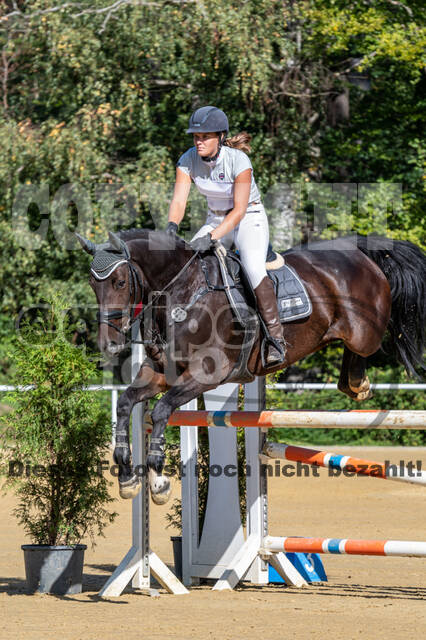 RFV Dinslaken-Hiesfeld (Herbstturnier)