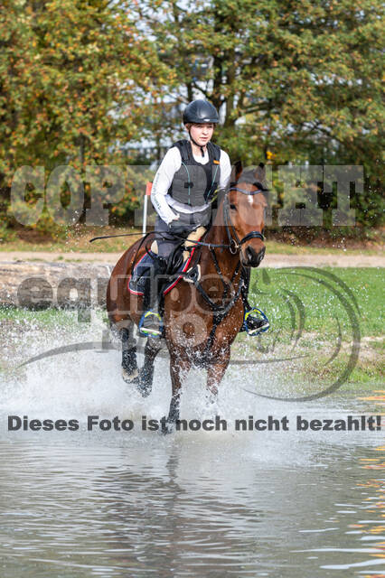 IGV Lehrgang der Sieger der Cups mit Frank Ostholt