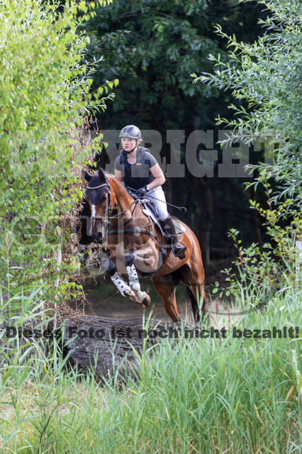 Late-Entry Vielseitigkeit Hamminkeln/Wesel (01.+02.08.2020)