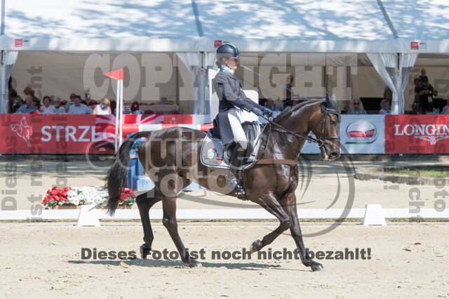 FEI European Championship