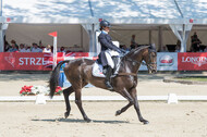 FEI European Championship