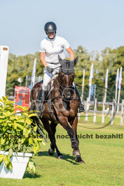 Kronenberg - De Peelbergen (August 2020)