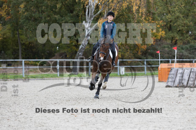 IGV Lehrgang der Sieger der Cups mit Frank Ostholt