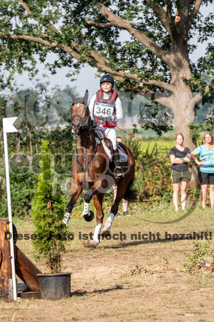 De Peelbergen (August 2020)