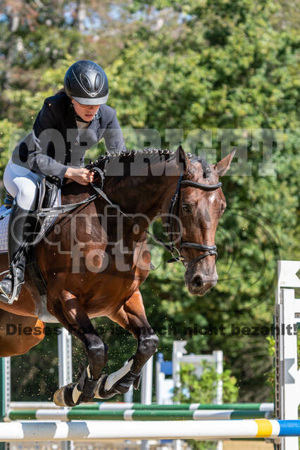 RFV Dinslaken-Hiesfeld (Herbstturnier)