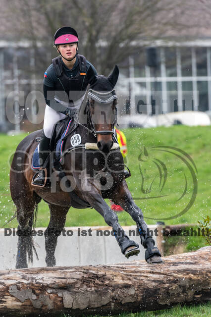 Goldene Schärpe 2020 - Pferde