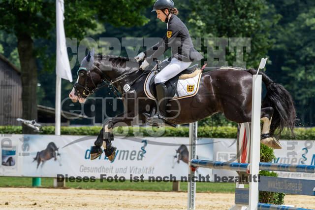 Goldene Schärpe 2021 - Ponys