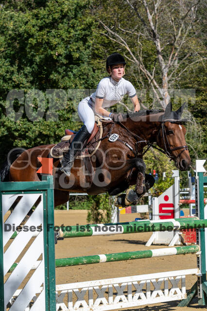 RFV Dinslaken-Hiesfeld (Herbstturnier)