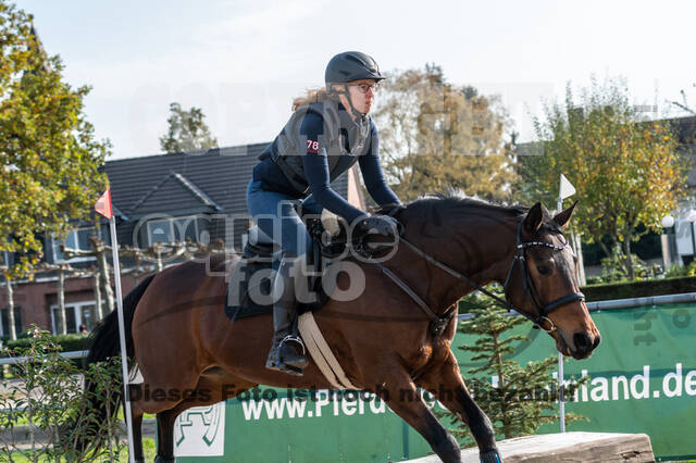 IGV Lehrgang der Sieger der Cups mit Frank Ostholt