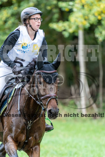 Vielseitigkeit RSV Wesel Obrighoven (26.+27.09.2020)