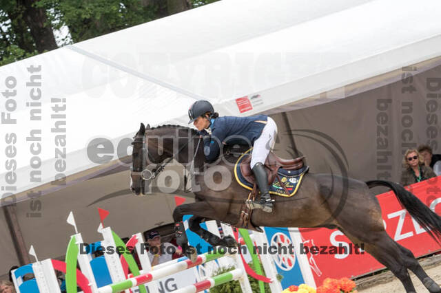 FEI European Championship