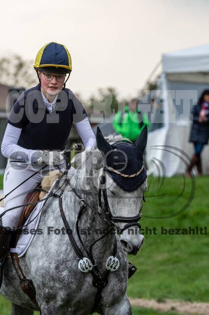 Goldene Schärpe 2020 - Pferde