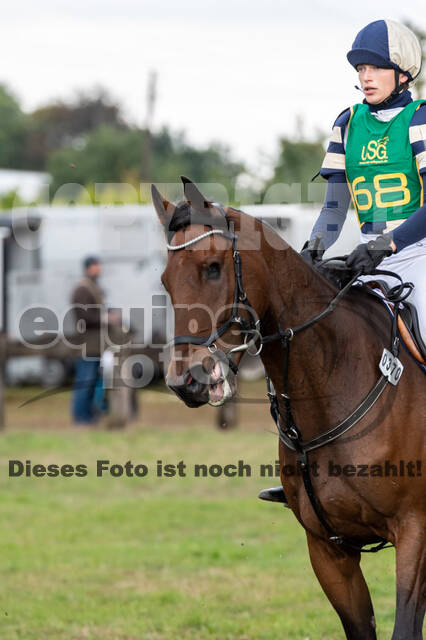 Vielseitigkeit RSV Wesel Obrighoven (26.+27.09.2020)