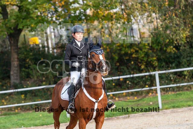 Goldene Schärpe 2020 - Pferde