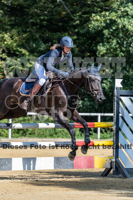RFV Dinslaken-Hiesfeld (Herbstturnier)