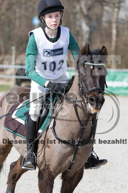 Eventing Langenfeld 2018