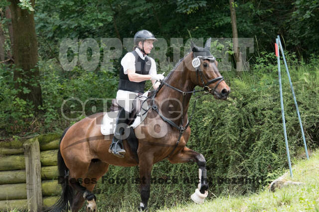 Vielseitigkeitsturnier Bad Honnef