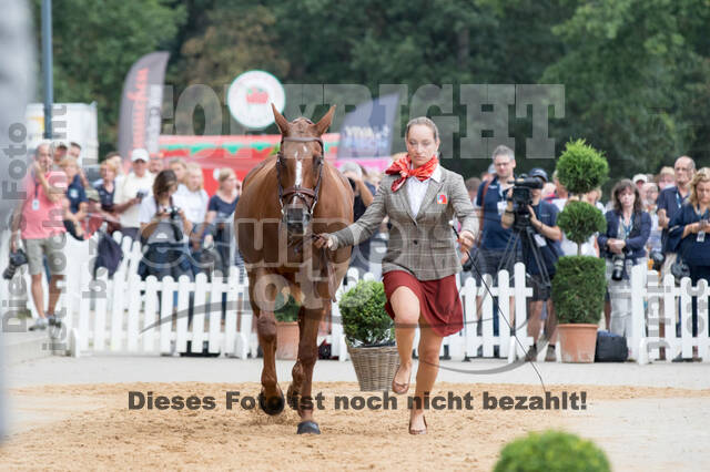 FEI European Championship Eventing 2019