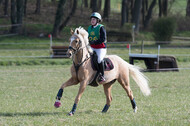 Vielseitigkeitsturnier RV Seydlitz Kamp (03.04.2022)