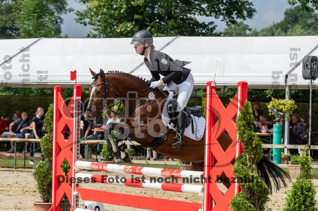 Goldene Schärpe 2021 - Ponys