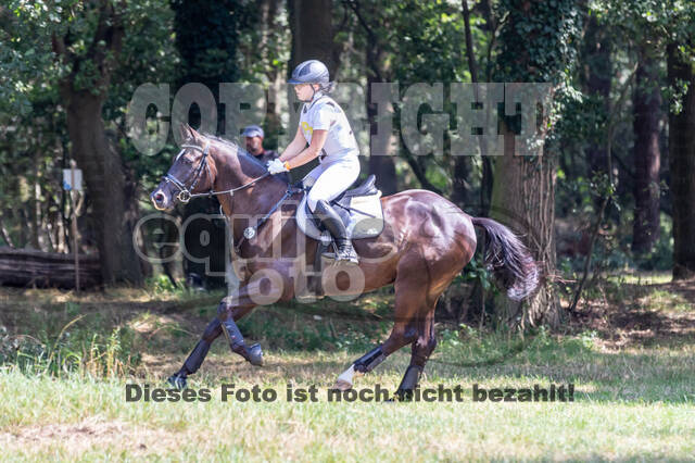 Late-Entry Vielseitigkeit Hamminkeln/Wesel (01.+02.08.2020)