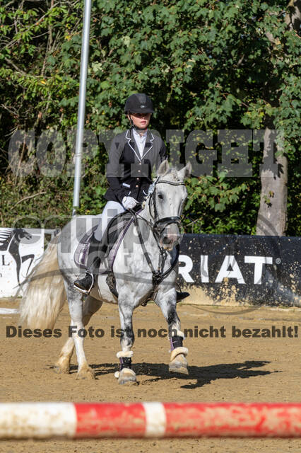 RFV Dinslaken-Hiesfeld (Herbstturnier)
