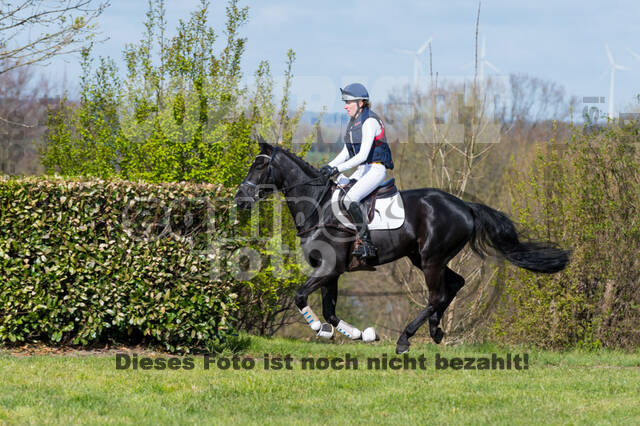 Friederike Paradies , Daily News P 