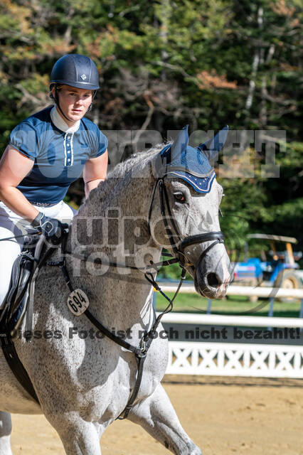 RFV Dinslaken-Hiesfeld (Herbstturnier)