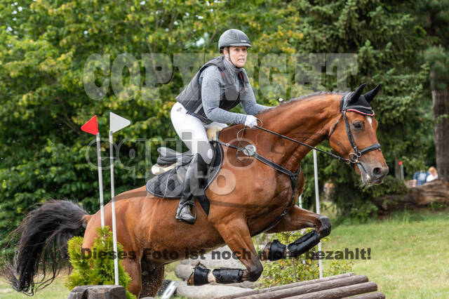 Late-Entry-Vielseitigkeit Langenfeld (11.+13./14.06.2020)