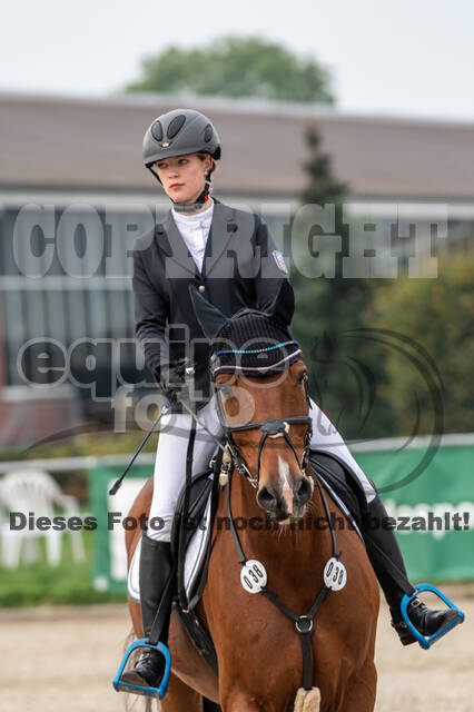 Goldene Schärpe 2020 - Pferde