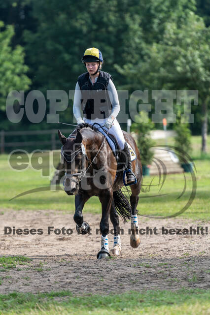 Goldene Schärpe 2021 - Ponys