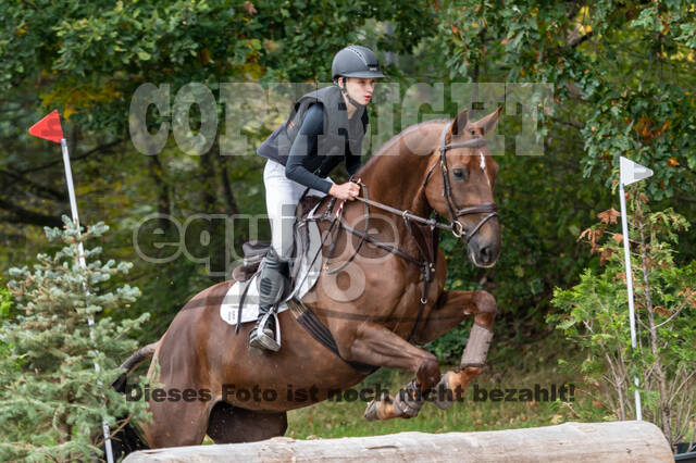 Goldene Schärpe 2020 - Pferde