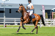Kronenberg - De Peelbergen (August 2020)