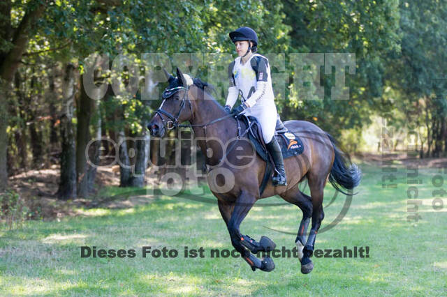Vielseitigkeitsturnier RSV St. Hubertus Wesel Obrighoven