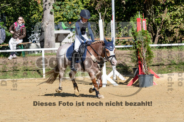 RFV Dinslaken-Hiesfeld (Herbstturnier)