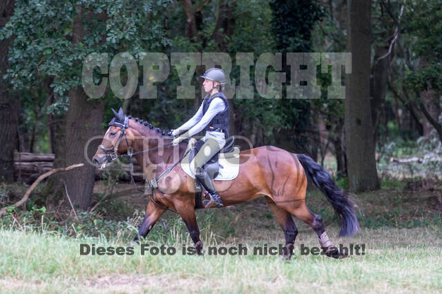 Late-Entry Vielseitigkeit Hamminkeln/Wesel (01.+02.08.2020)