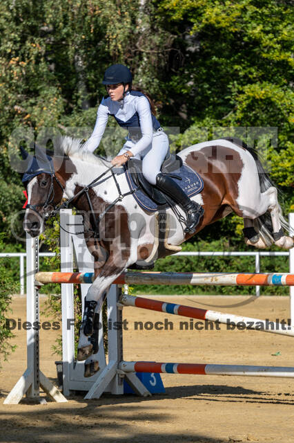 RFV Dinslaken-Hiesfeld (Herbstturnier)
