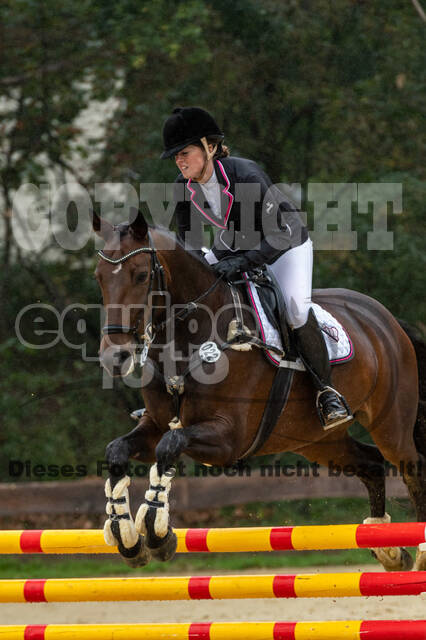 Vielseitigkeit RSV Wesel Obrighoven (26.+27.09.2020)