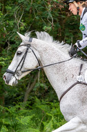 Westerstede Horse Trials 2021