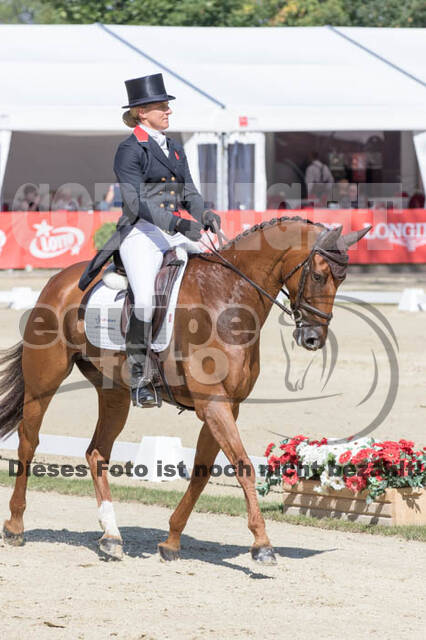 FEI European Championship Eventing 2017