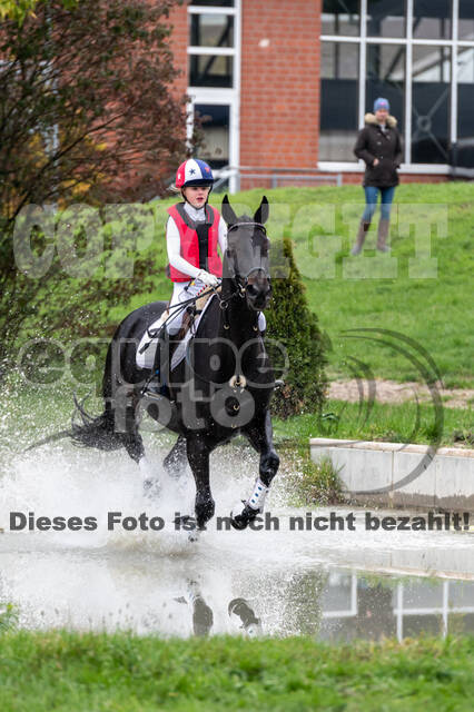 Goldene Schärpe 2020 - Pferde