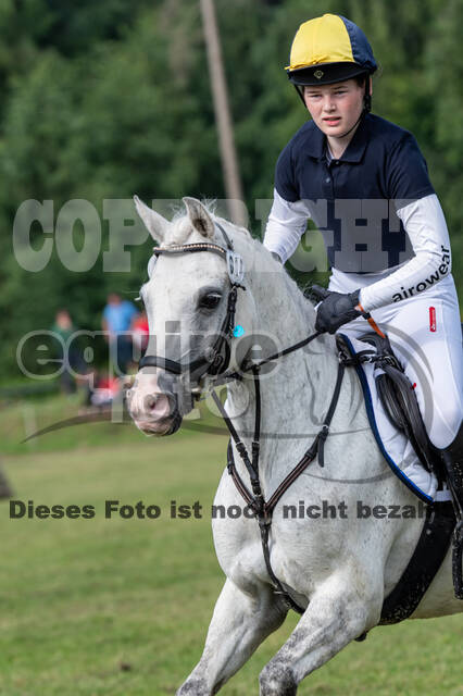 Goldene Schärpe 2021 - Ponys