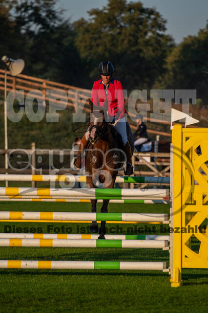 De Peelbergen (August 2020)