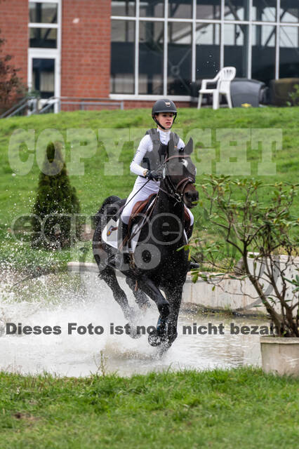 Goldene Schärpe 2020 - Pferde