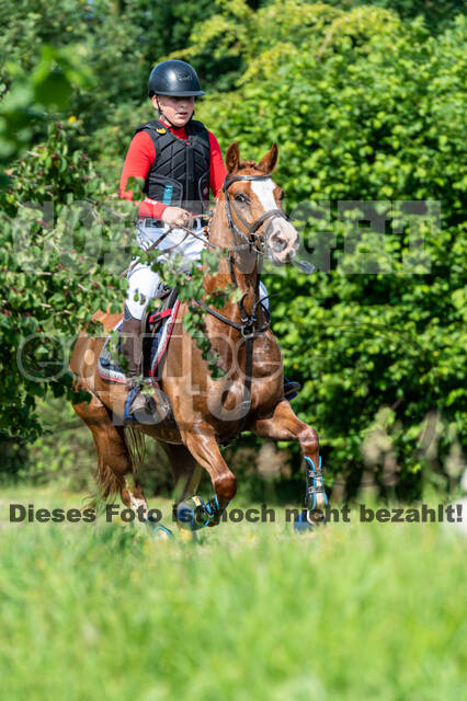 Goldene Schärpe 2021 - Ponys