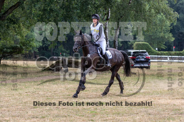 Late-Entry Vielseitigkeit Hamminkeln/Wesel (01.+02.08.2020)