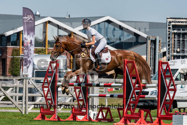 Kronenberg - De Peelbergen (August 2020)