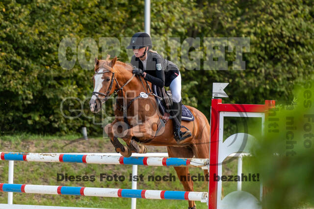RFV Dinslaken-Hiesfeld (Herbstturnier)